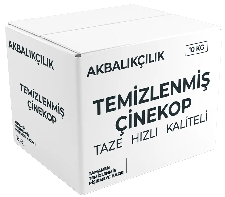 Çinekop Kilosu