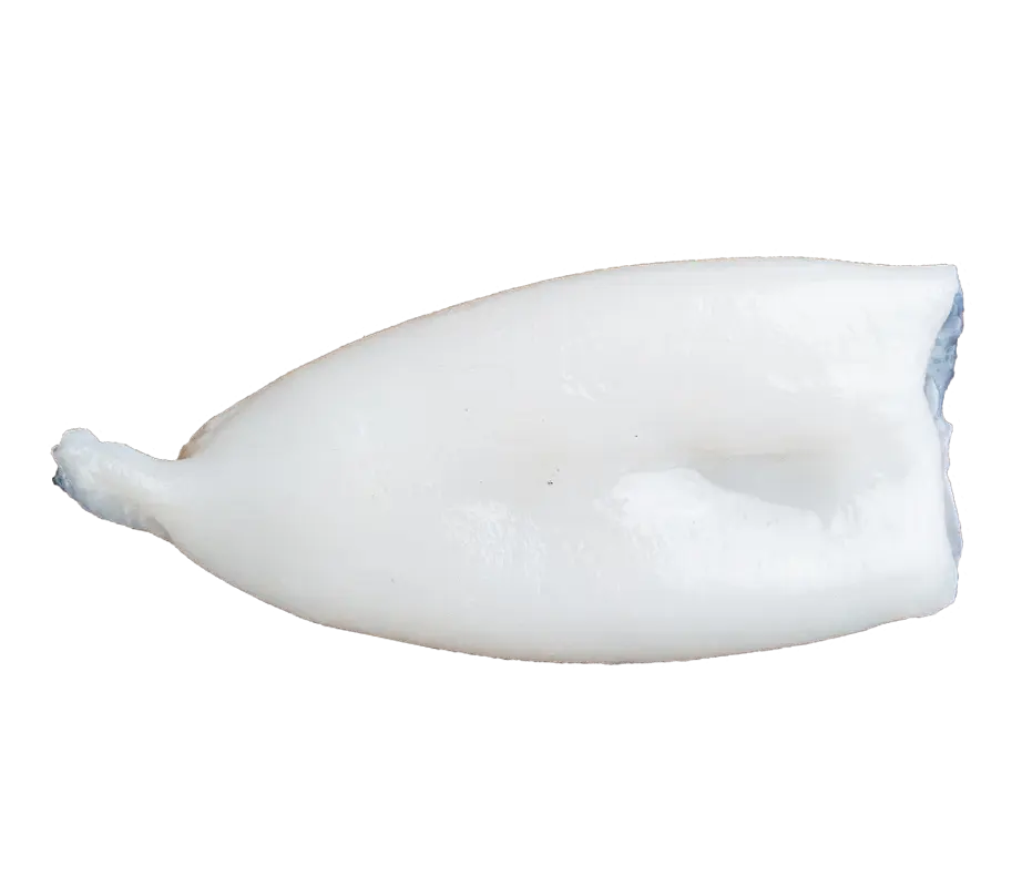 Kalamar Fiyat