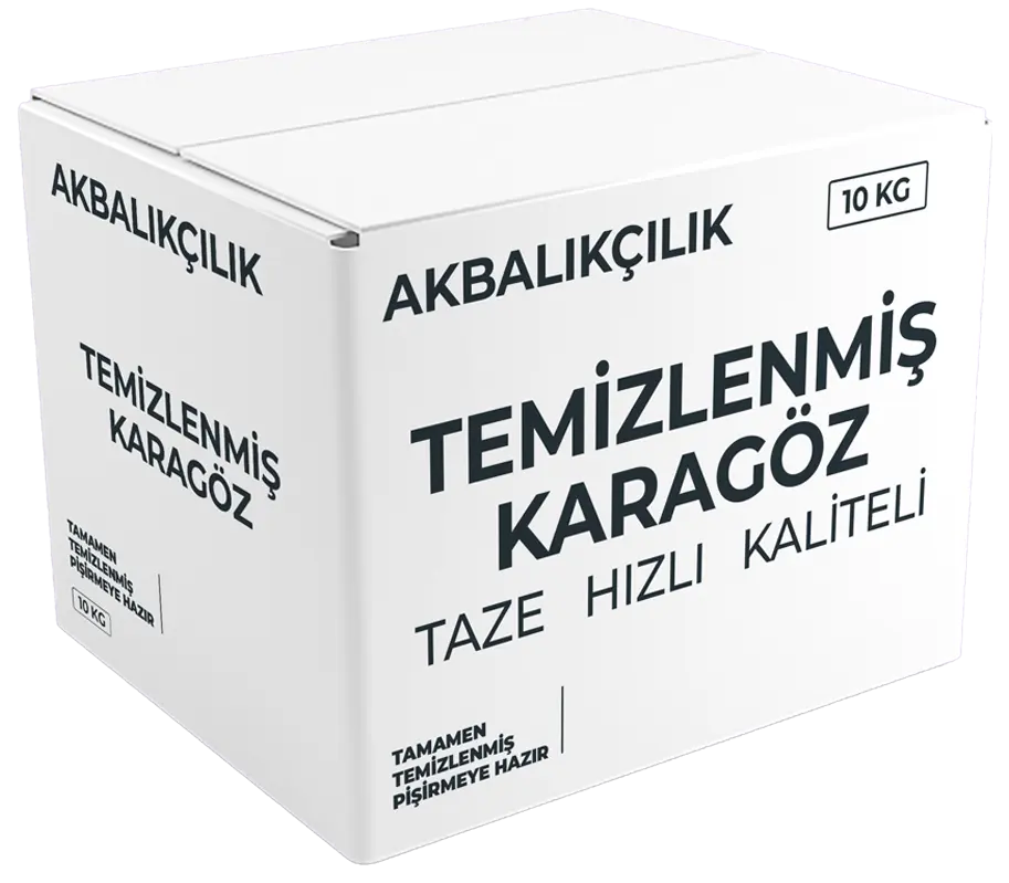 Karagöz Kilosu
