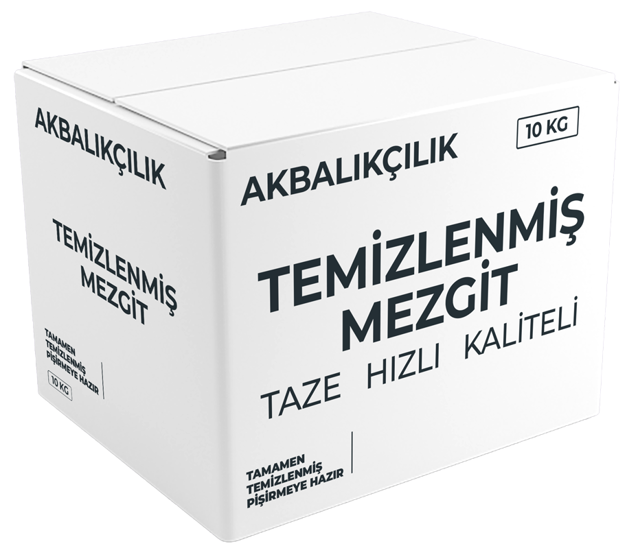 Mezgit Kilosu