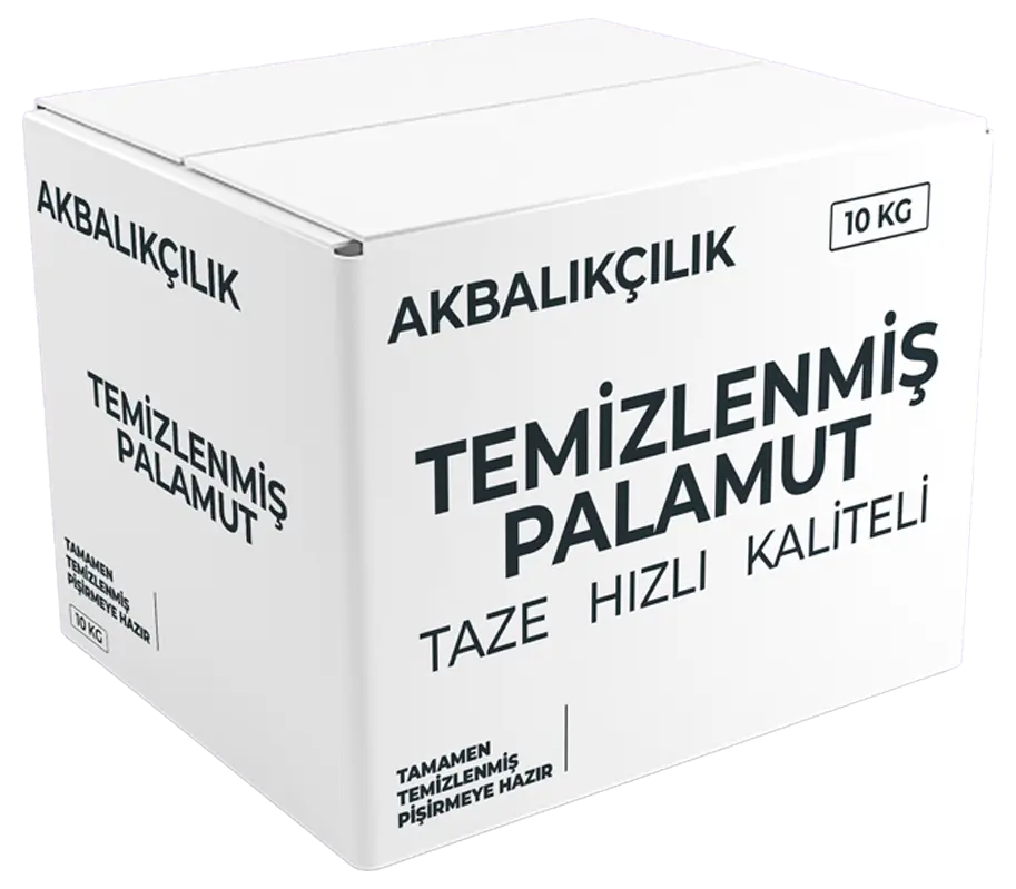 Palamut Balığı 2024